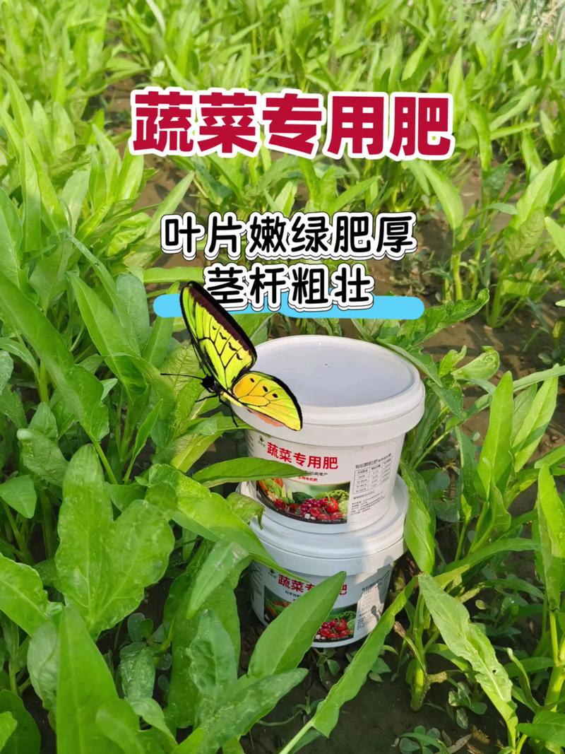 胺类中间体：化工行业的引擎