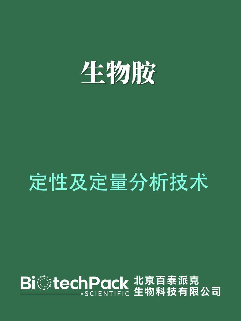 探索二乙胺在化工行业的应用与前景